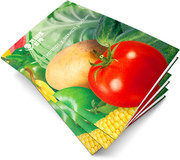 Продам семена овощных Семко - Юниор огурцы,  томаты,  капуста и. т.д.