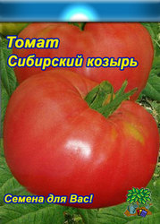 помидоры серии Сибирский сад  Сибирский Козырь