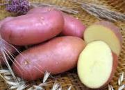 Подам картофель посевной 1 репродукции