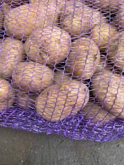 Картопля продовольча та насіннєва.