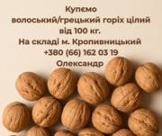 Куплю цілий волоський (грецький) горіх